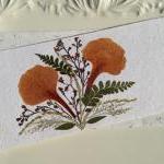 Orange - Handmade Pressed Flowers Card
