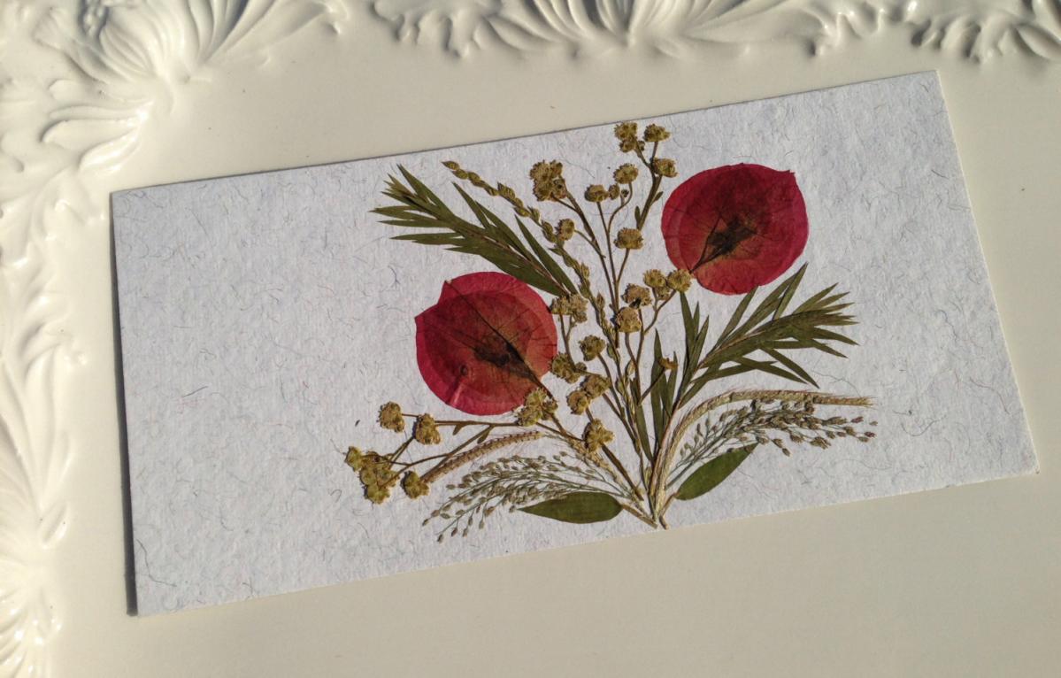 Bouganvilla Handmade Pressed Flowers Card on Luulla